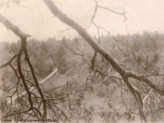 Дорога к фабричному поселку. 1925