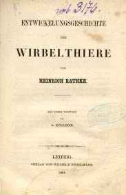 Entwickelungsgeschichte der Wirbelthiere / von Heinrich Rathke